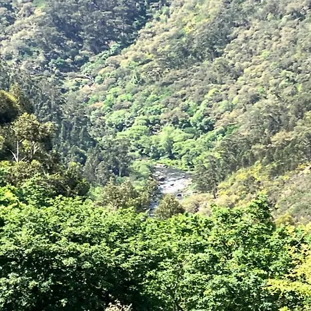 Paiva Valley Летний дом *